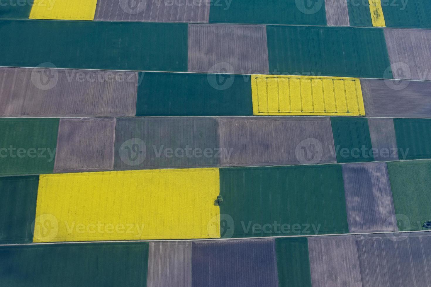 farmed fields aerial view photo