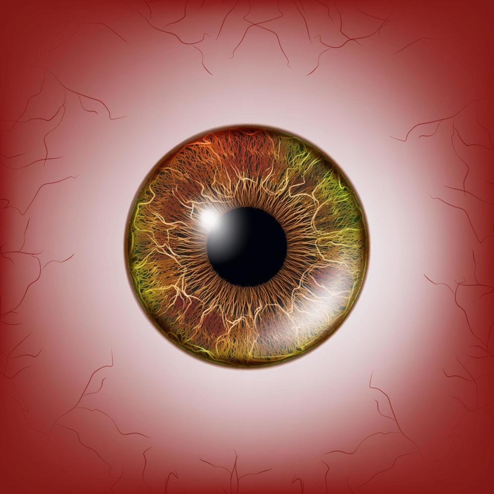 ojo rojo. globo ocular realista sangriento aterrador vector