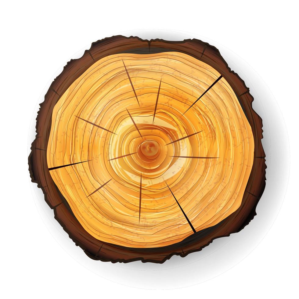 vector de tocón de madera de árbol de sección transversal. corte redondo con anillos anuales