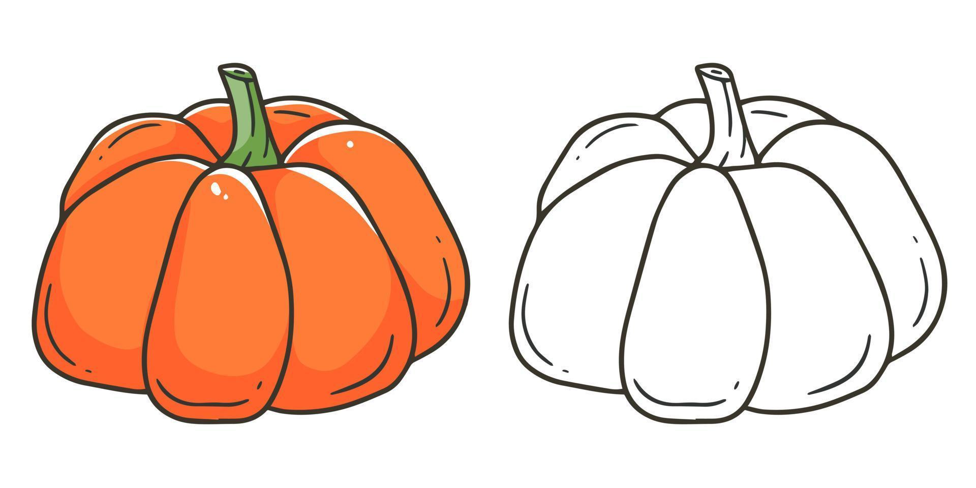 Pumpkin coloring book with an example of coloring for children. Coloring page with vegetable. Monochrome and color version. Vector children's illustration.