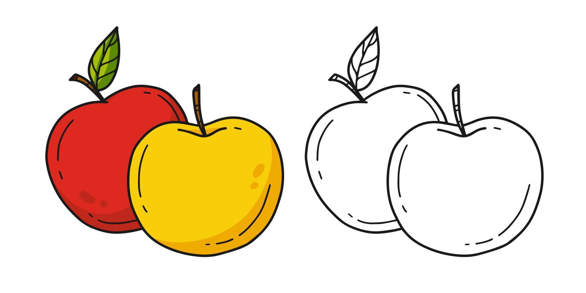 Yellow and red apples coloring book with an example of coloring for children. Coloring page with a pair of apples. Monochrome and color version. Vector children's illustration.