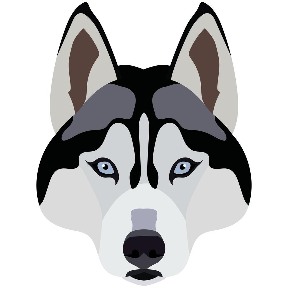 Husky face. Vector portrait of a dog head isolated on white background.