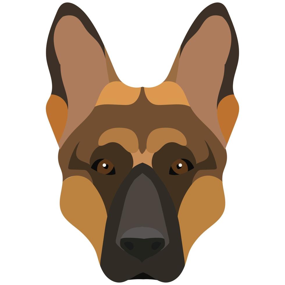 The face of a German Shepherd. Vector portrait of a dog head isolated on white background.