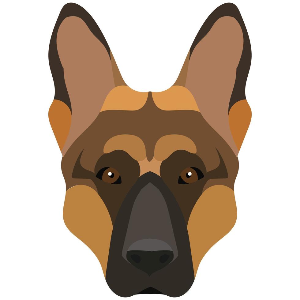 la cara de un pastor alemán. retrato vectorial de una cabeza de perro aislada en fondo blanco. vector