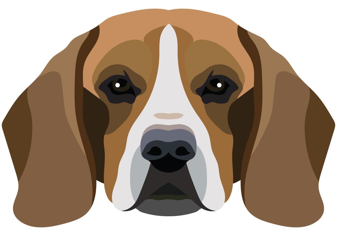 Beagle face. Vector portrait of a dog head isolated on white background.