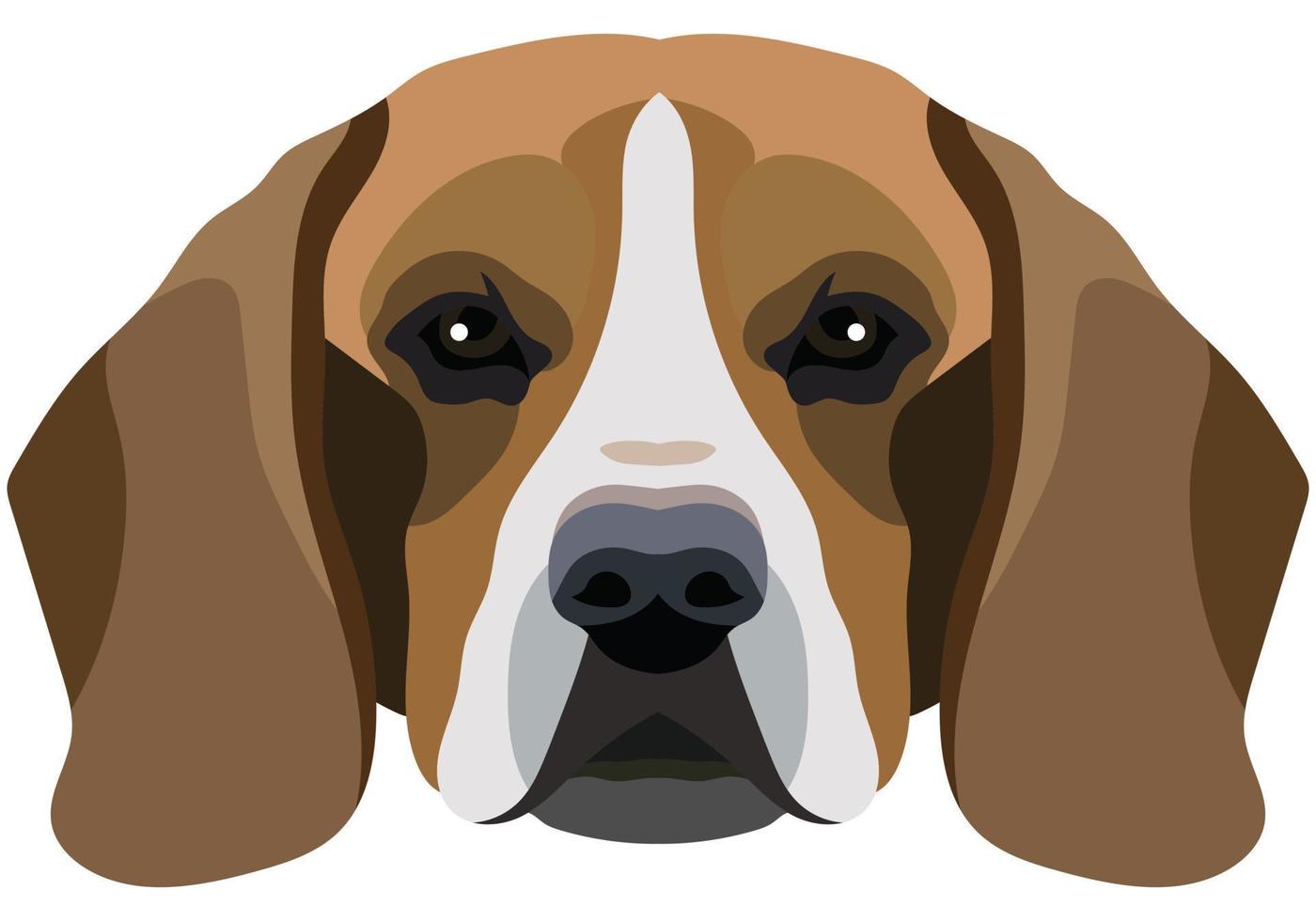 cara de sabueso retrato vectorial de una cabeza de perro aislada en fondo blanco. vector