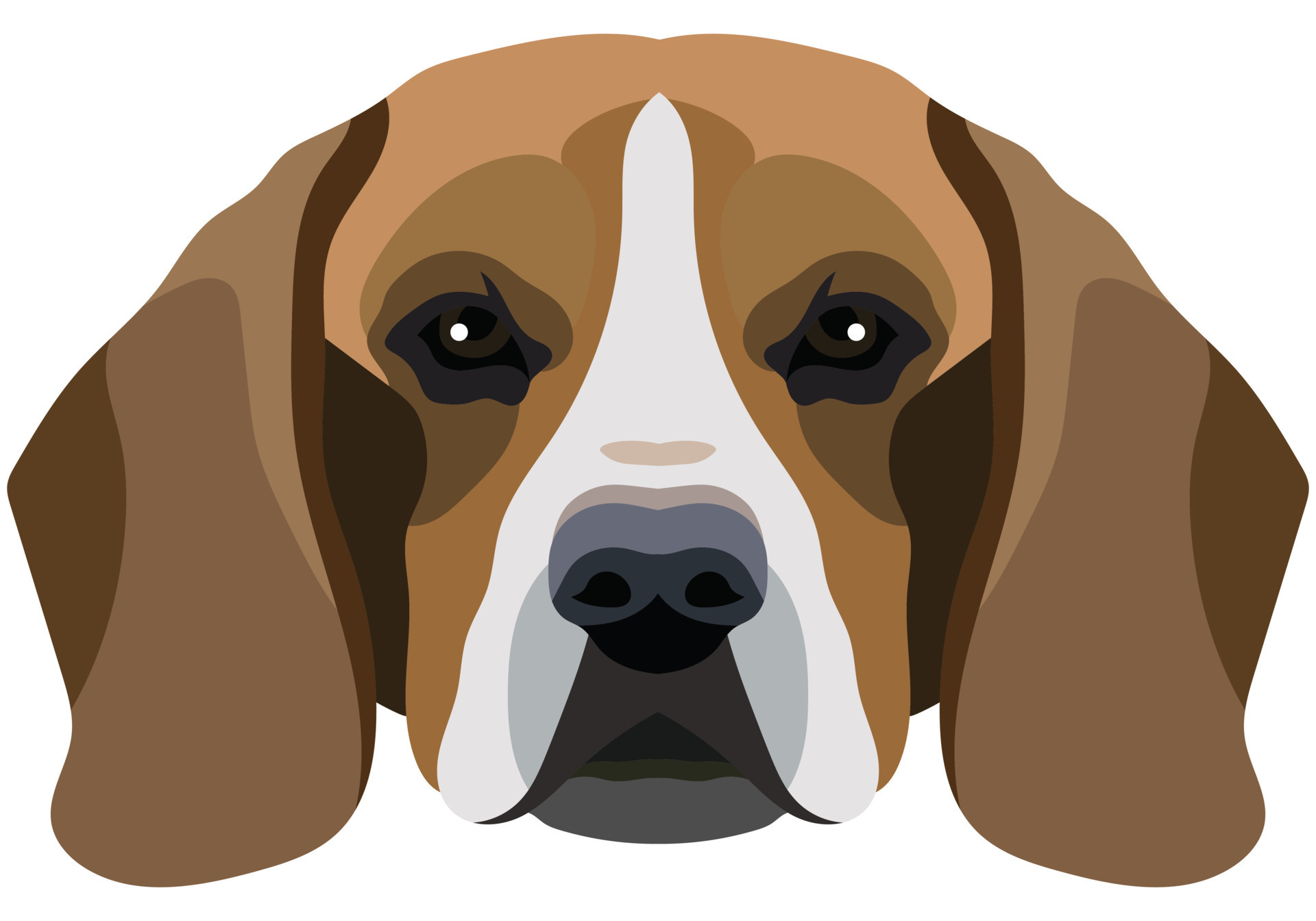 Beagle face. Vector portrait of a dog head isolated on white background