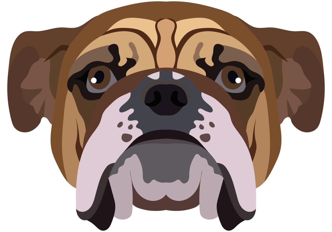 Bulldog face. Vector portrait of a dog head isolated on white background.