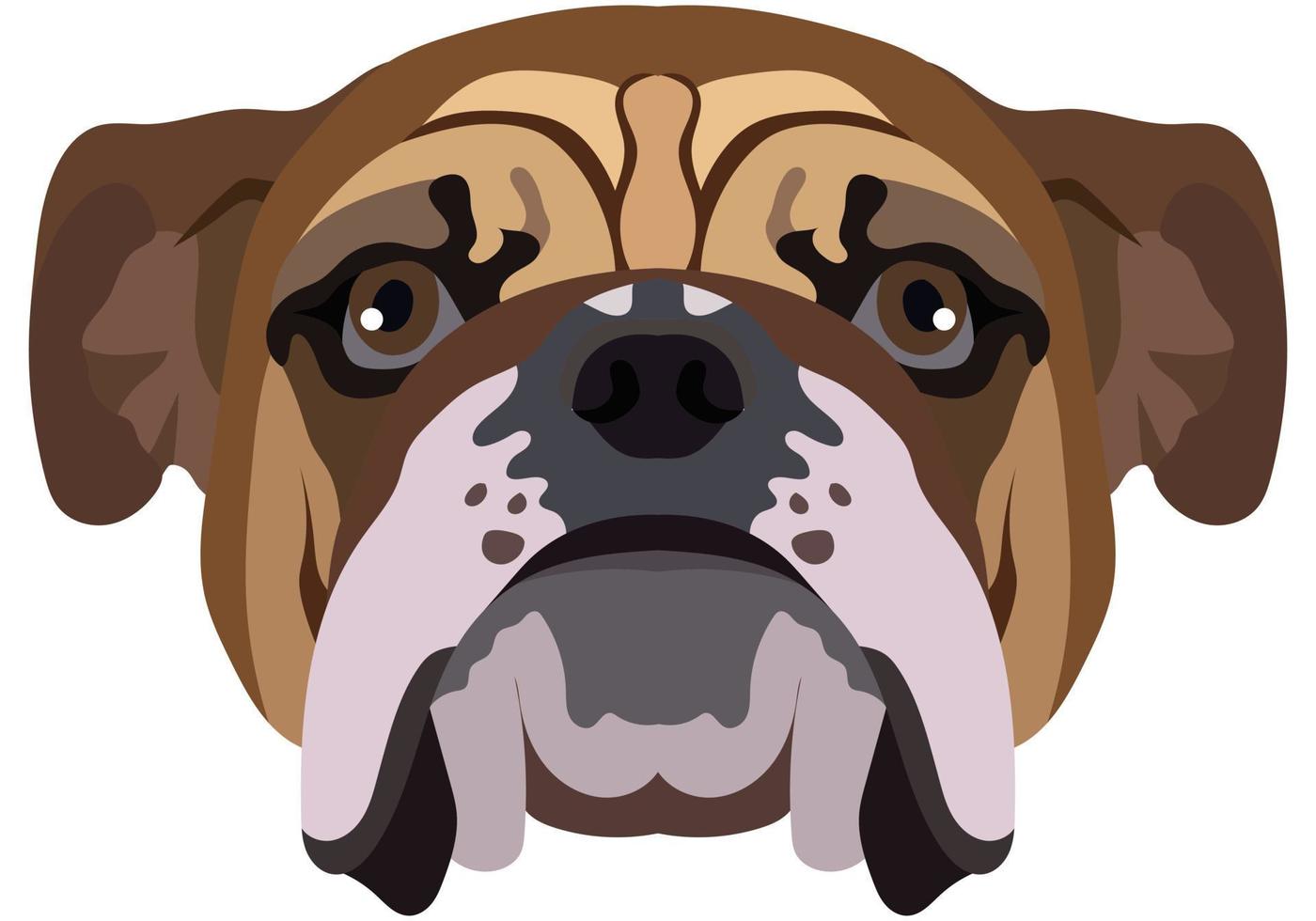 cara de bulldog retrato vectorial de una cabeza de perro aislada en fondo blanco. vector