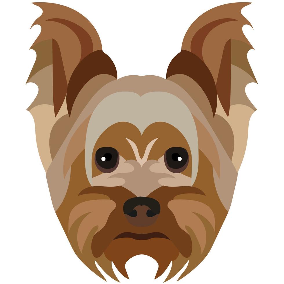 la cara de un yorkshire terrier. retrato vectorial de una cabeza de perro aislada en fondo blanco. vector