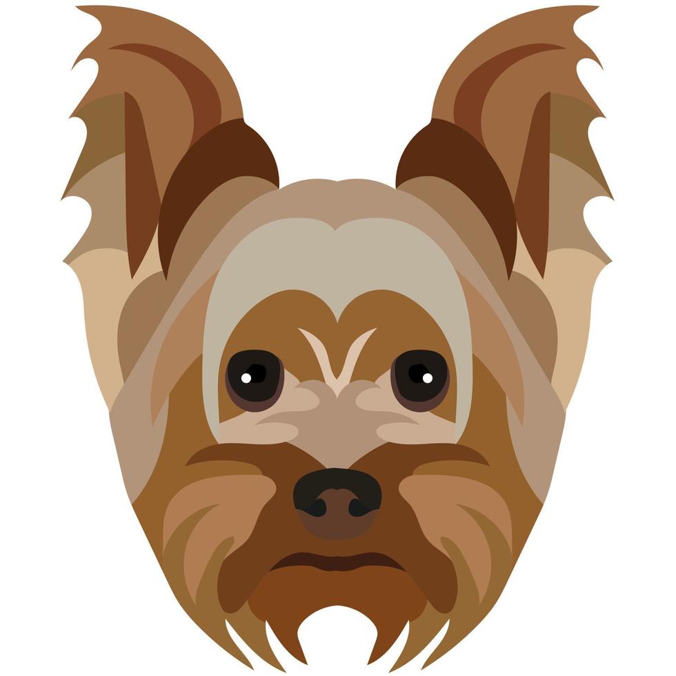 The face of a Yorkshire terrier. Vector portrait of a dog head isolated on white background.