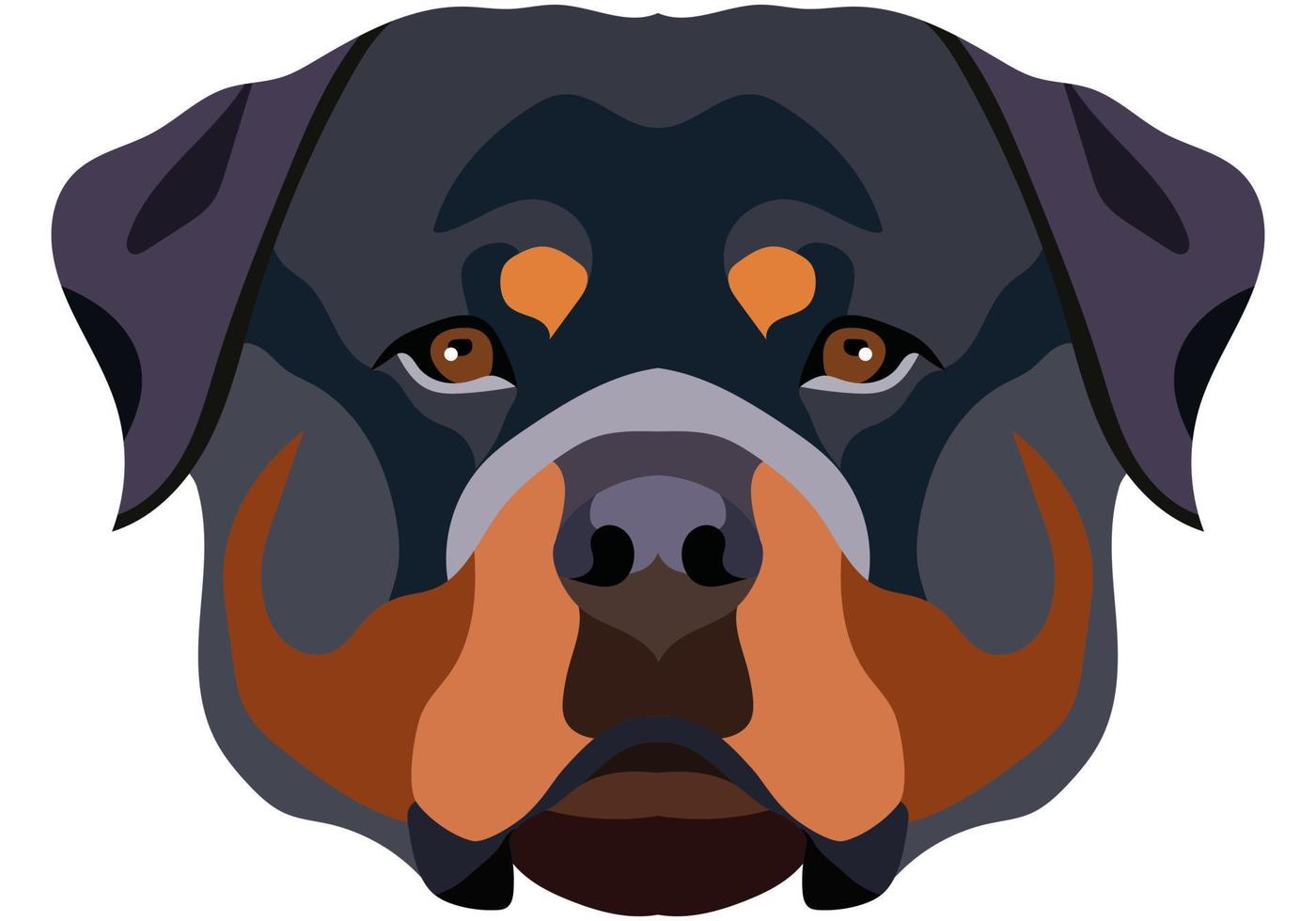 Rottweiler face. Vector portrait of a dog head isolated on white background.