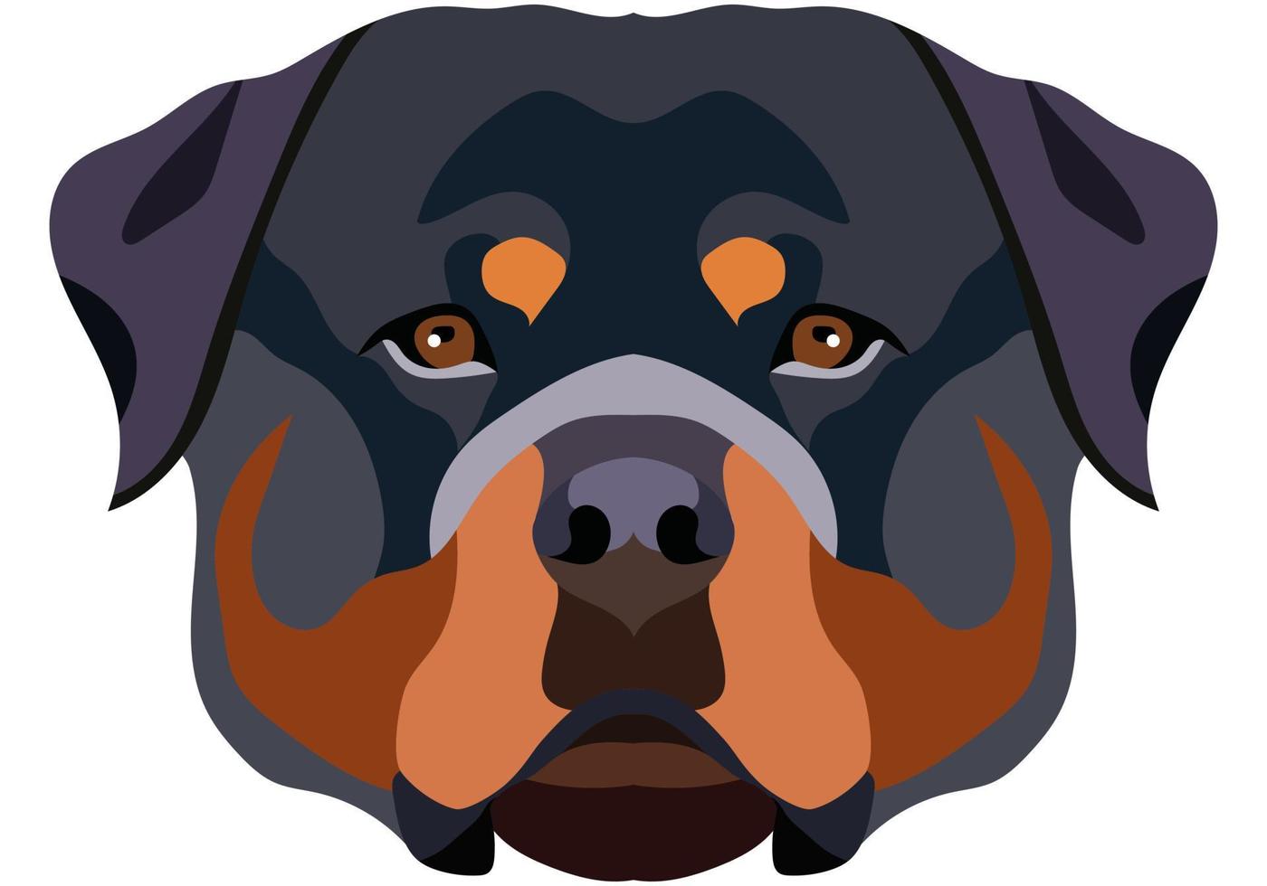 Rottweiler face. Vector portrait of a dog head isolated on white background.