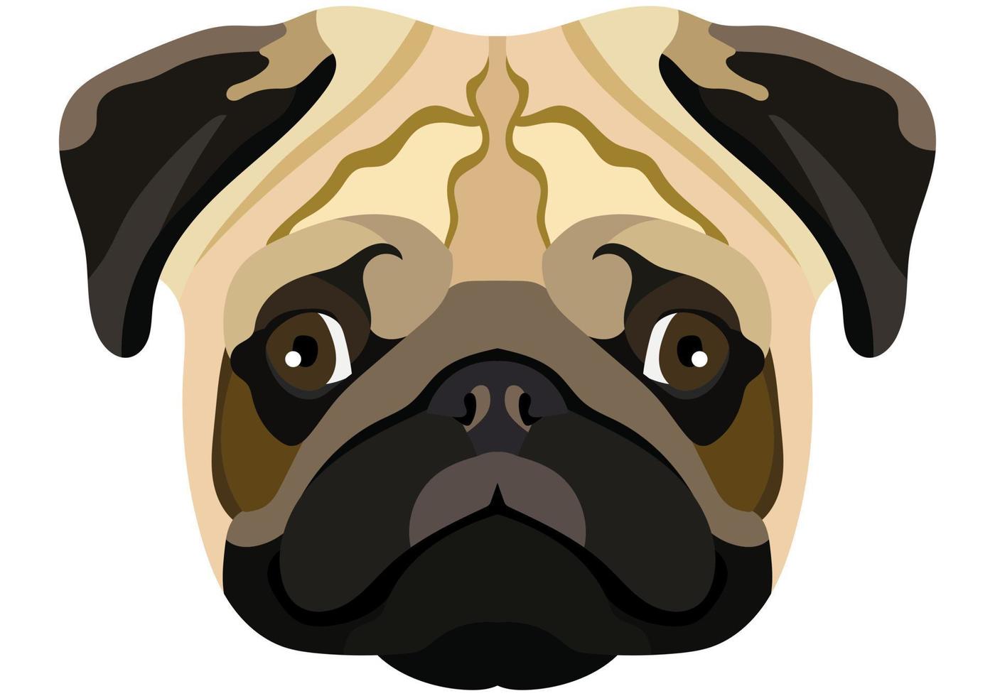 Pug face. Vector portrait of a dog head isolated on white background.