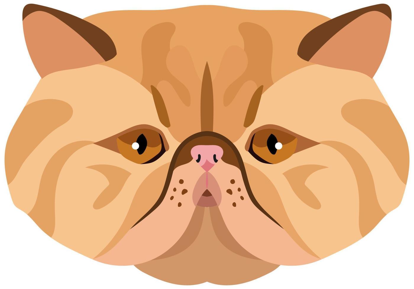 The face of a Persian cat. Vector portrait of a cat's head on a white background. The muzzle of an animal of the feline genus.