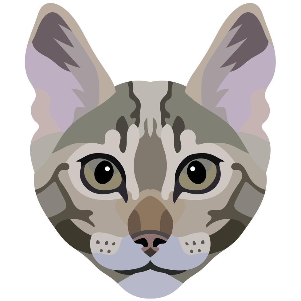 The face of a cat. Vector portrait of a cat's head on a white background. The muzzle of an animal of the feline genus.