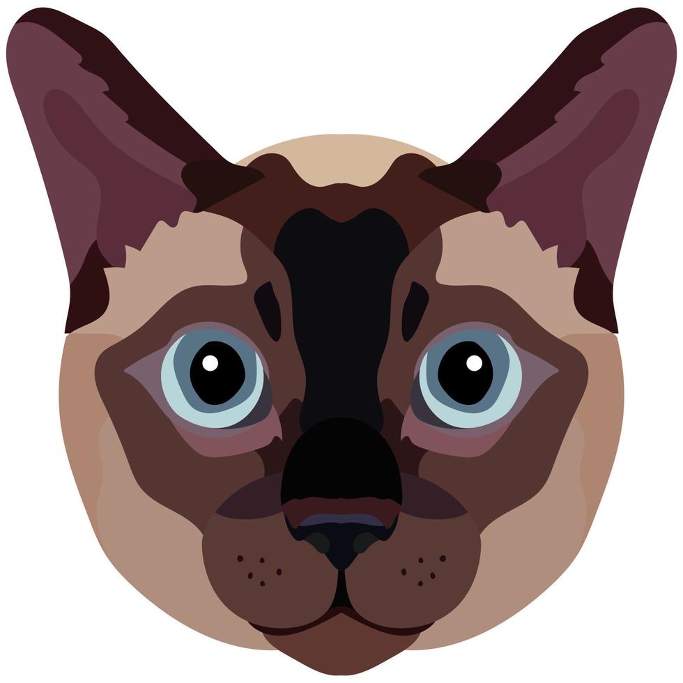 The face of a Siamese cat. Vector portrait of a cat's head on a white background. The muzzle of an animal of the feline genus.