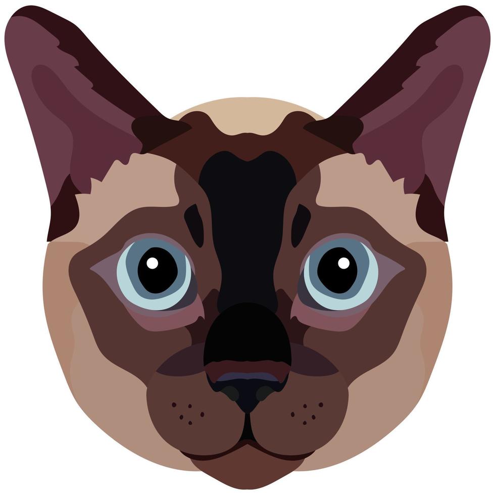 The face of a Siamese cat. Vector portrait of a cat's head on a white background. The muzzle of an animal of the feline genus.