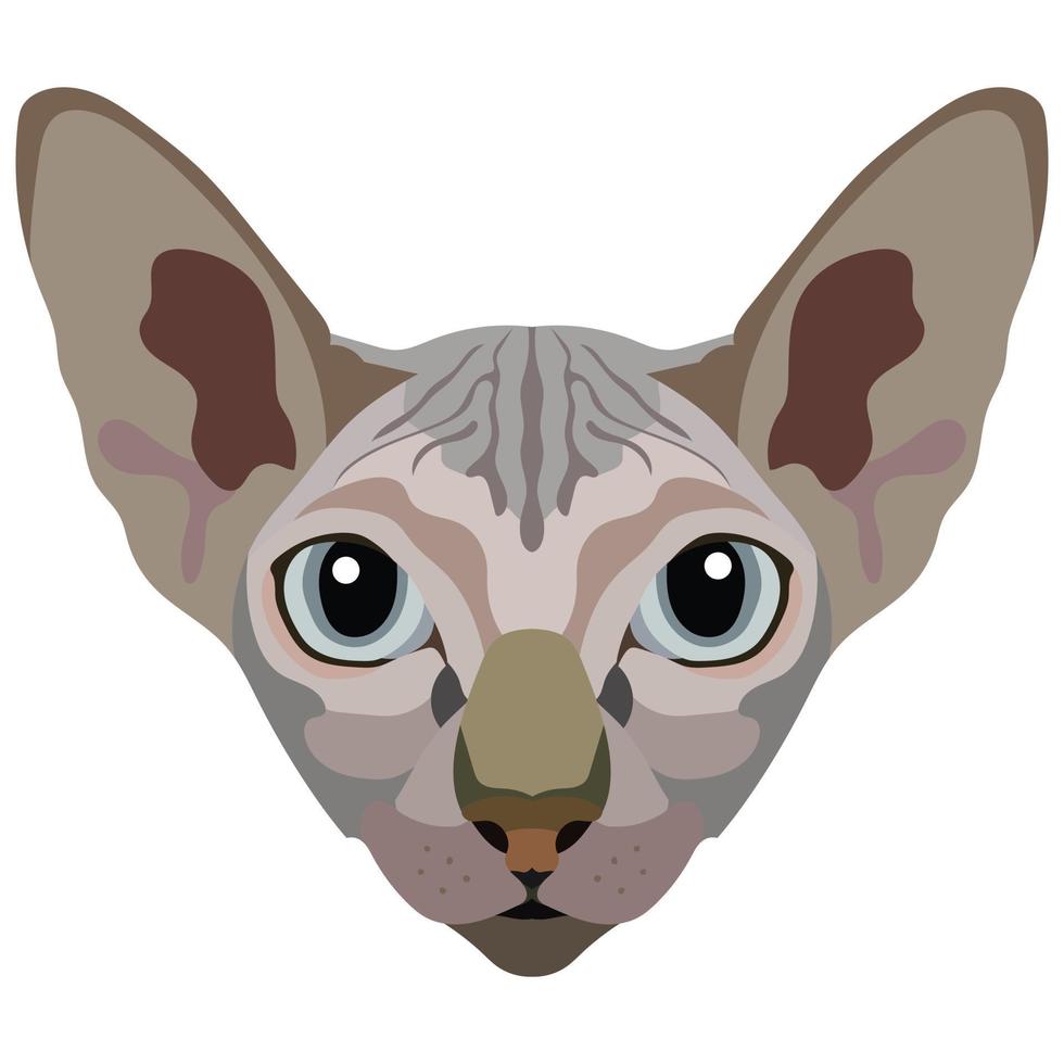 The face of the Sphinx cat. Vector portrait of a cat's head on a white background. The muzzle of an animal of the feline genus.