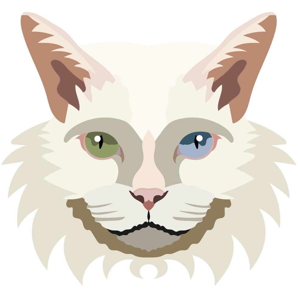 The face of the khao manee cat. Vector portrait of a cat's head on a white background. The muzzle of an animal of the feline genus.