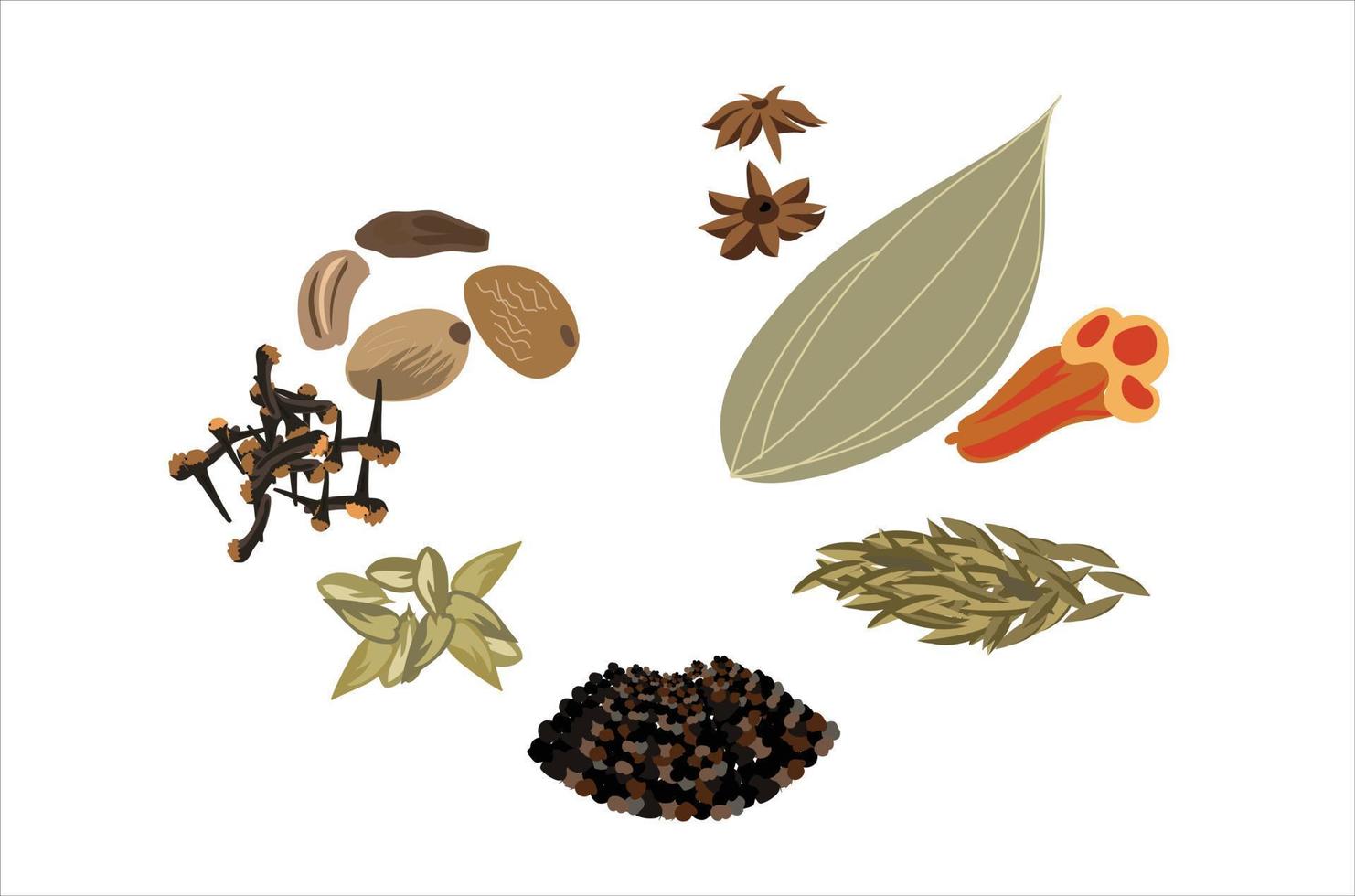 Gram masala vector illustration on white background