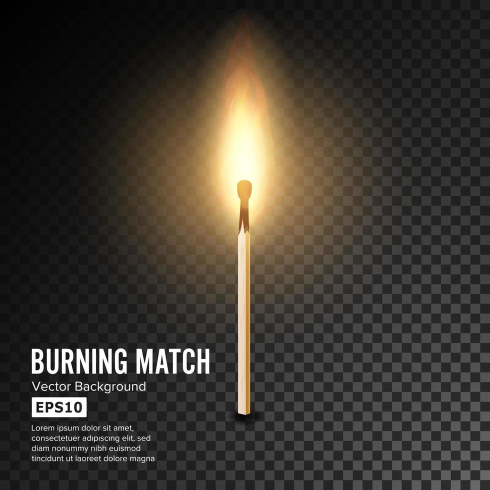 Realistic Burning Match Vector