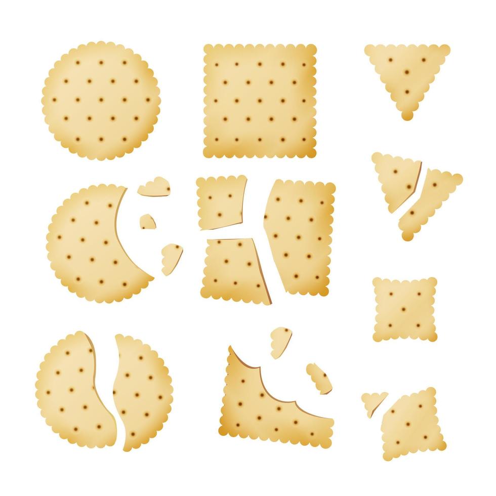 Bitten Chip Biscuit Cookie Vector. Cracker In Different Shapes vector