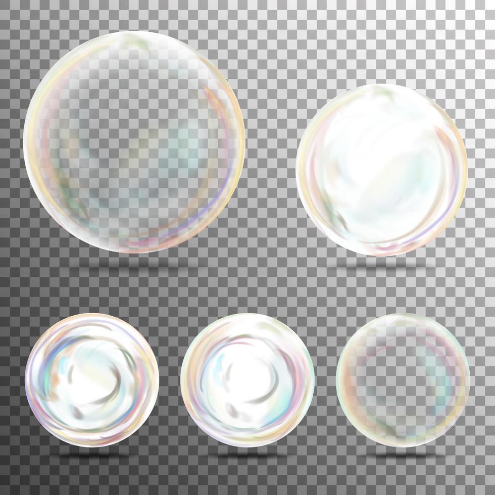 Realistic Soap Bubbles With Rainbow Reflection vector