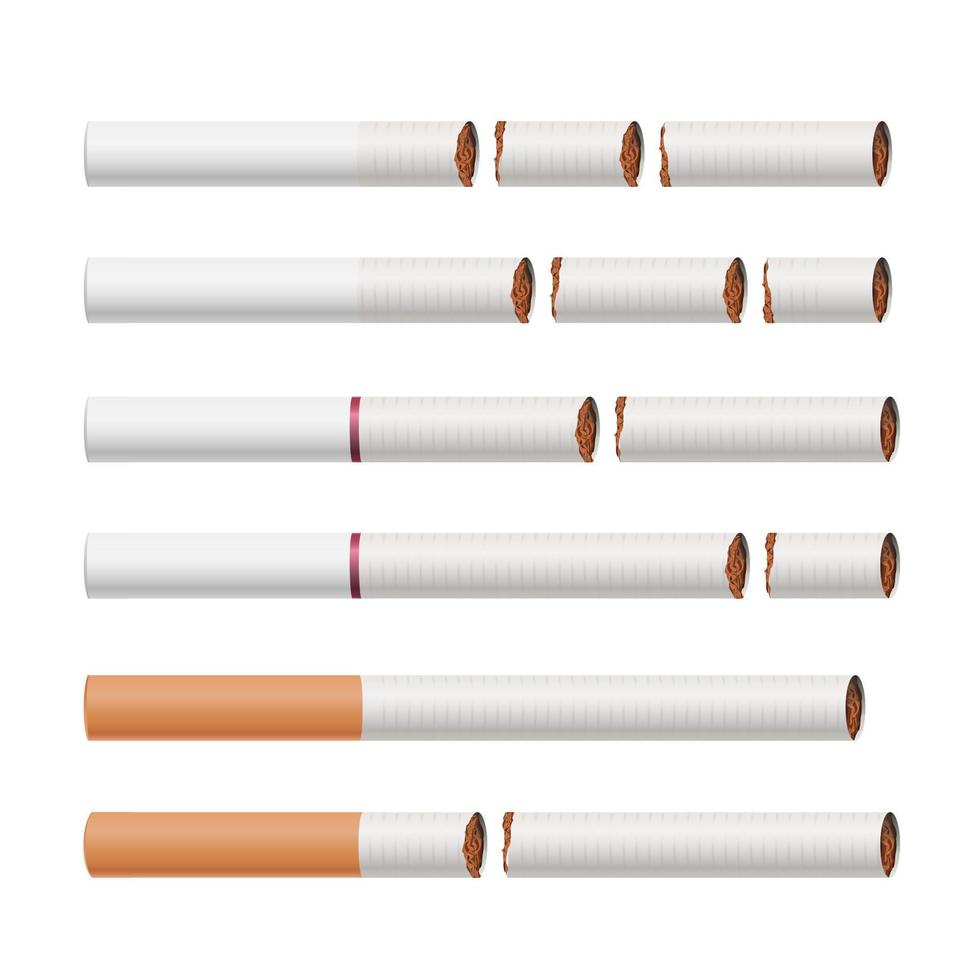 Broken Cigarettes Vector. Smoking Kills. Medical Healthcare Quit Smoking Concept. Tobacco Leaves. Realistic Illustration. Isolated On White. vector