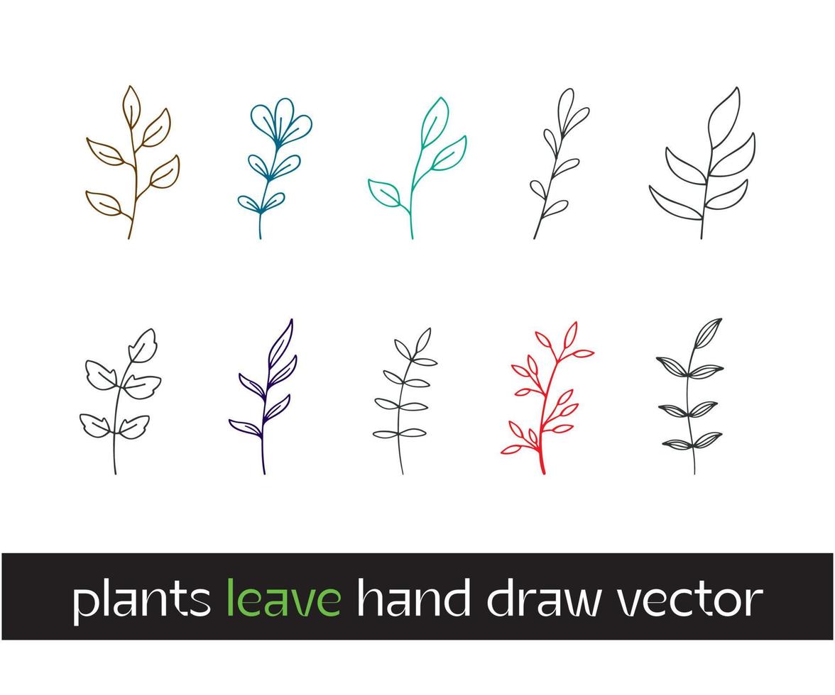 spring colorful flowers. Set of floral branch, Nature vintage flowers with leaf and pallets graphics on wild and Garden botanical Flowers for any projects  wedding, Birthday, anniversary vector