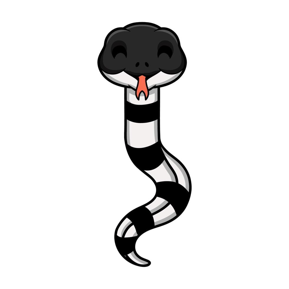 Cute banded krait snake cartoon vector