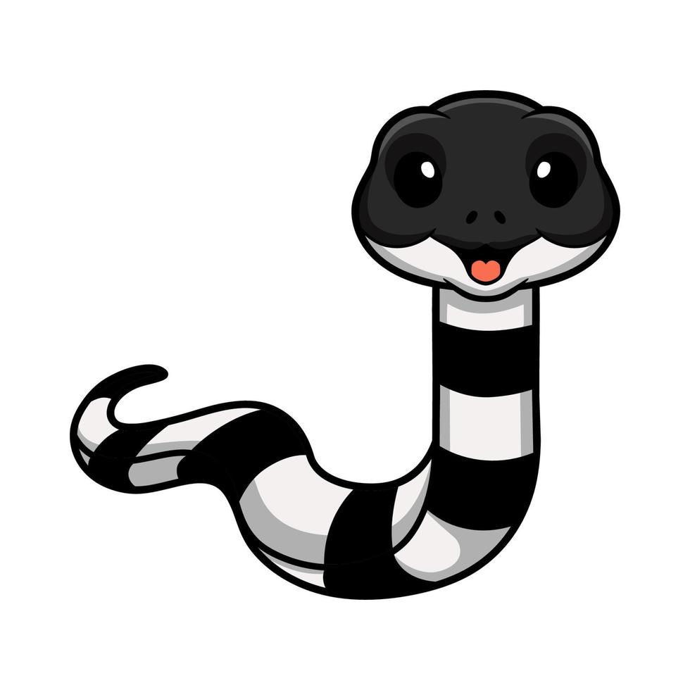 Cute banded krait snake cartoon vector