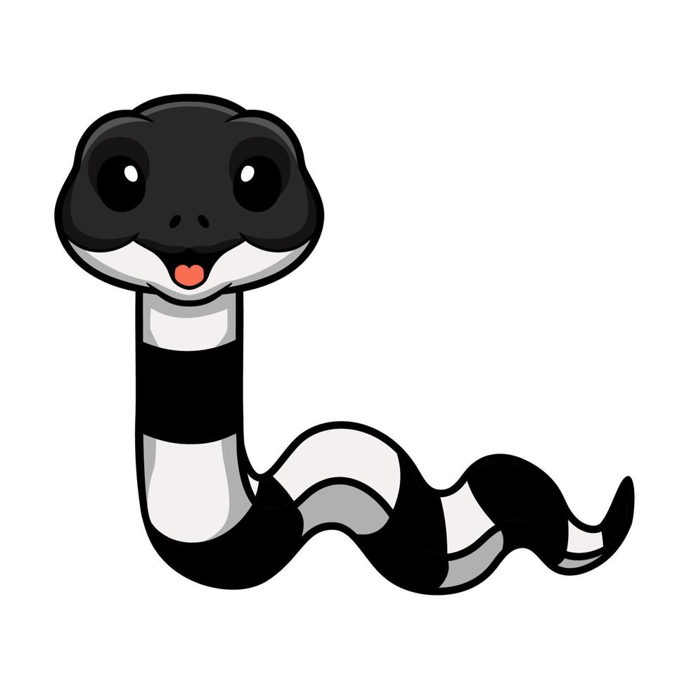 linda caricatura de serpiente krait con bandas vector