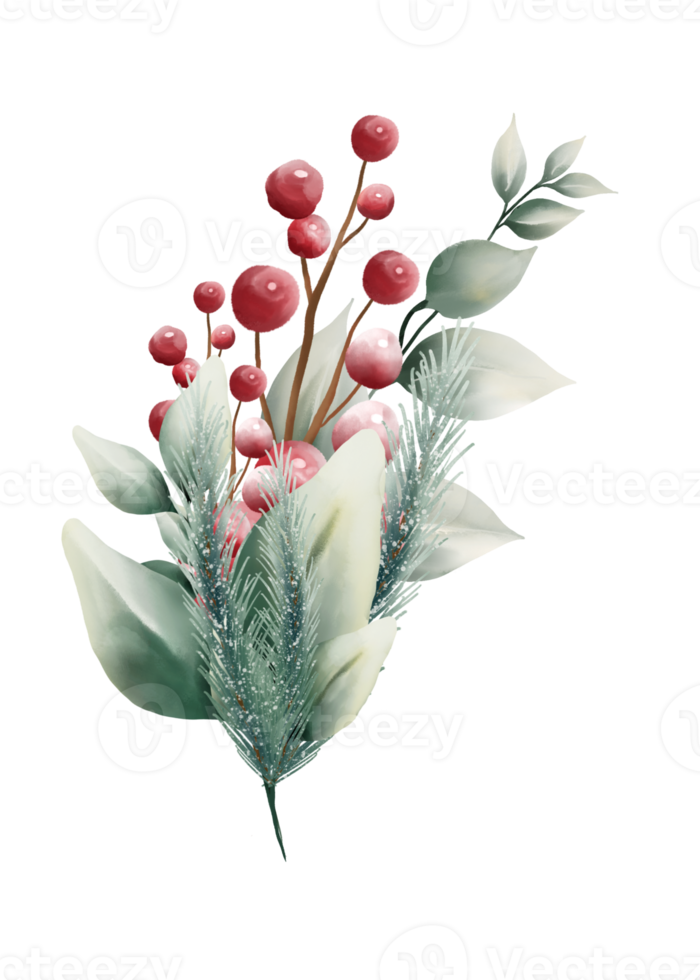 Watercolor Christmas flowers png