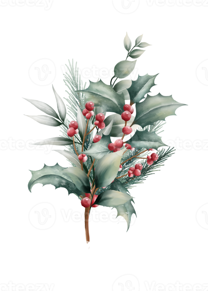 aquarel kerst bloemen png