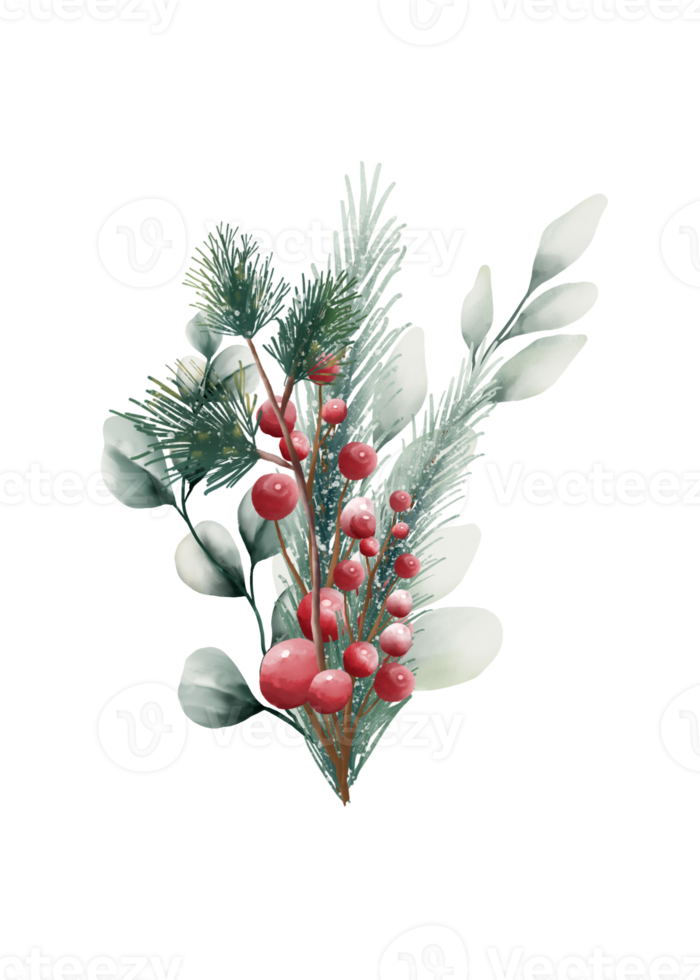 Watercolor Christmas flowers png