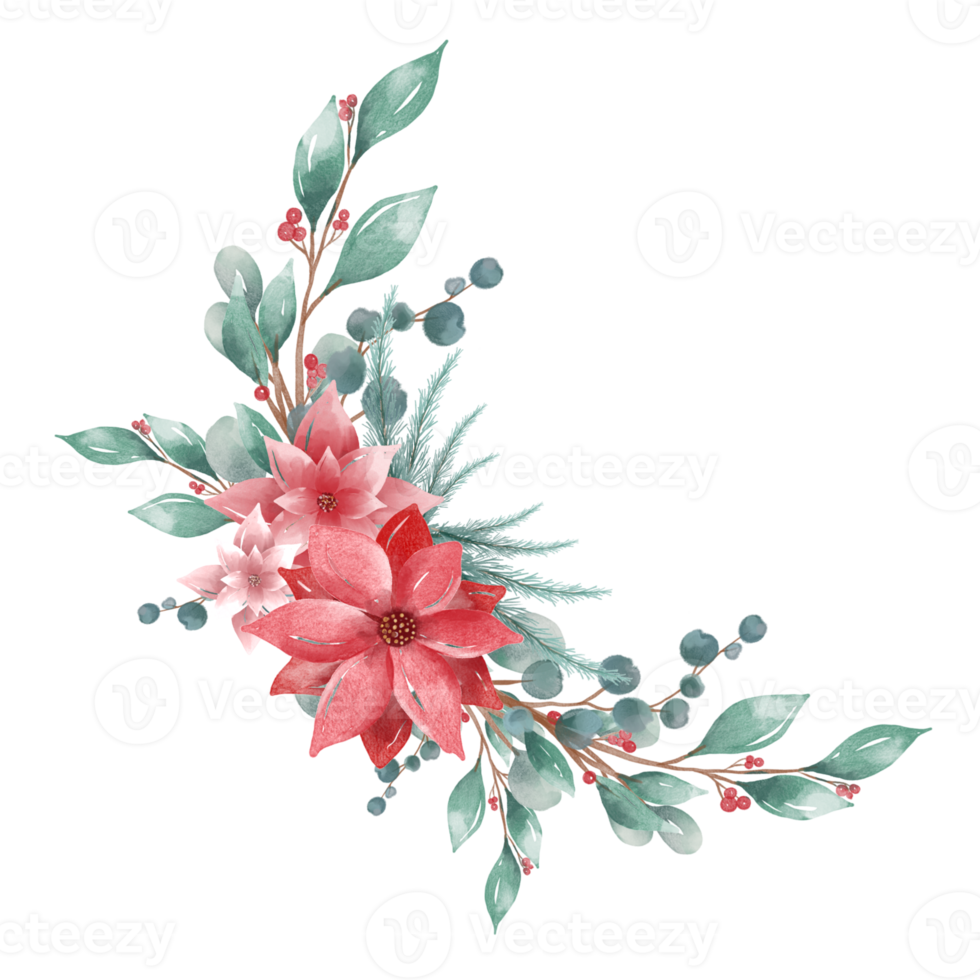 Watercolor Christmas flowers png