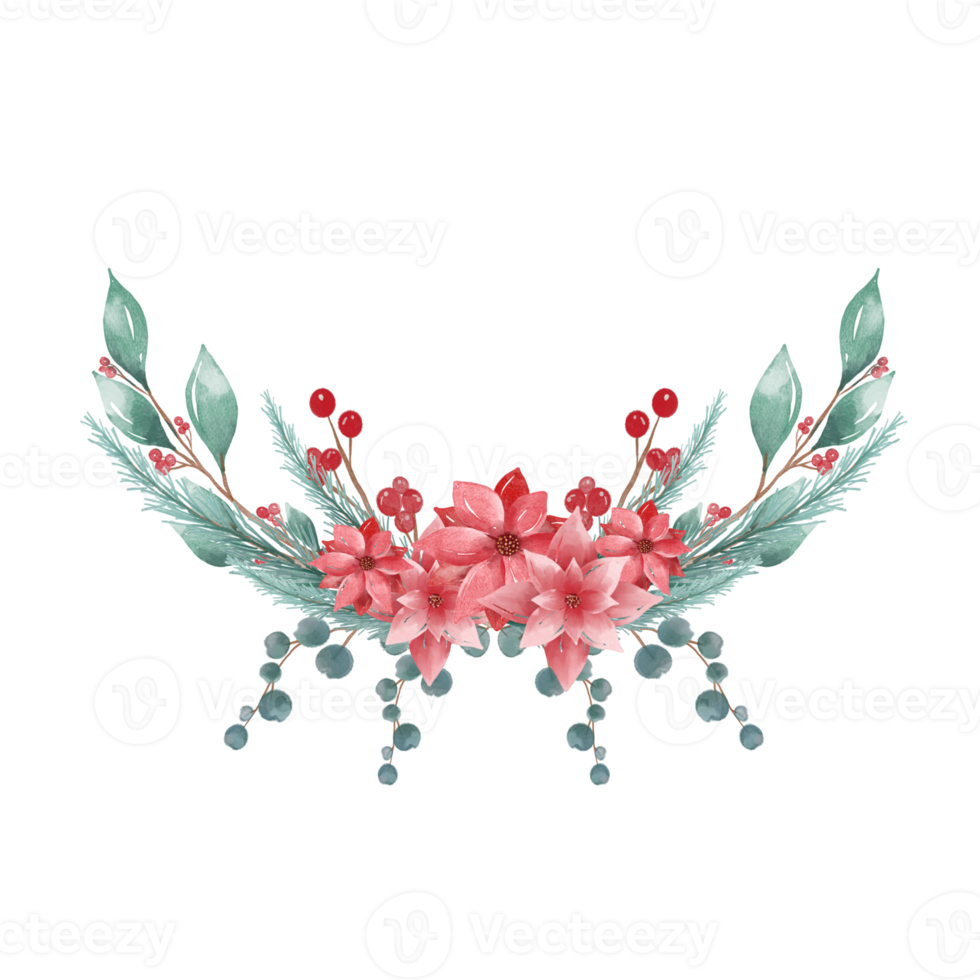 Free acuarela flores de navidad 17372993 PNG with Transparent Background Free acuarela flores de navidad 17372993 PNG with Transparent Background