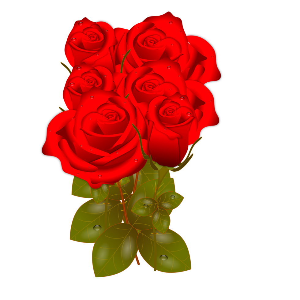 red rose flowers realistic set with different colors and shapes