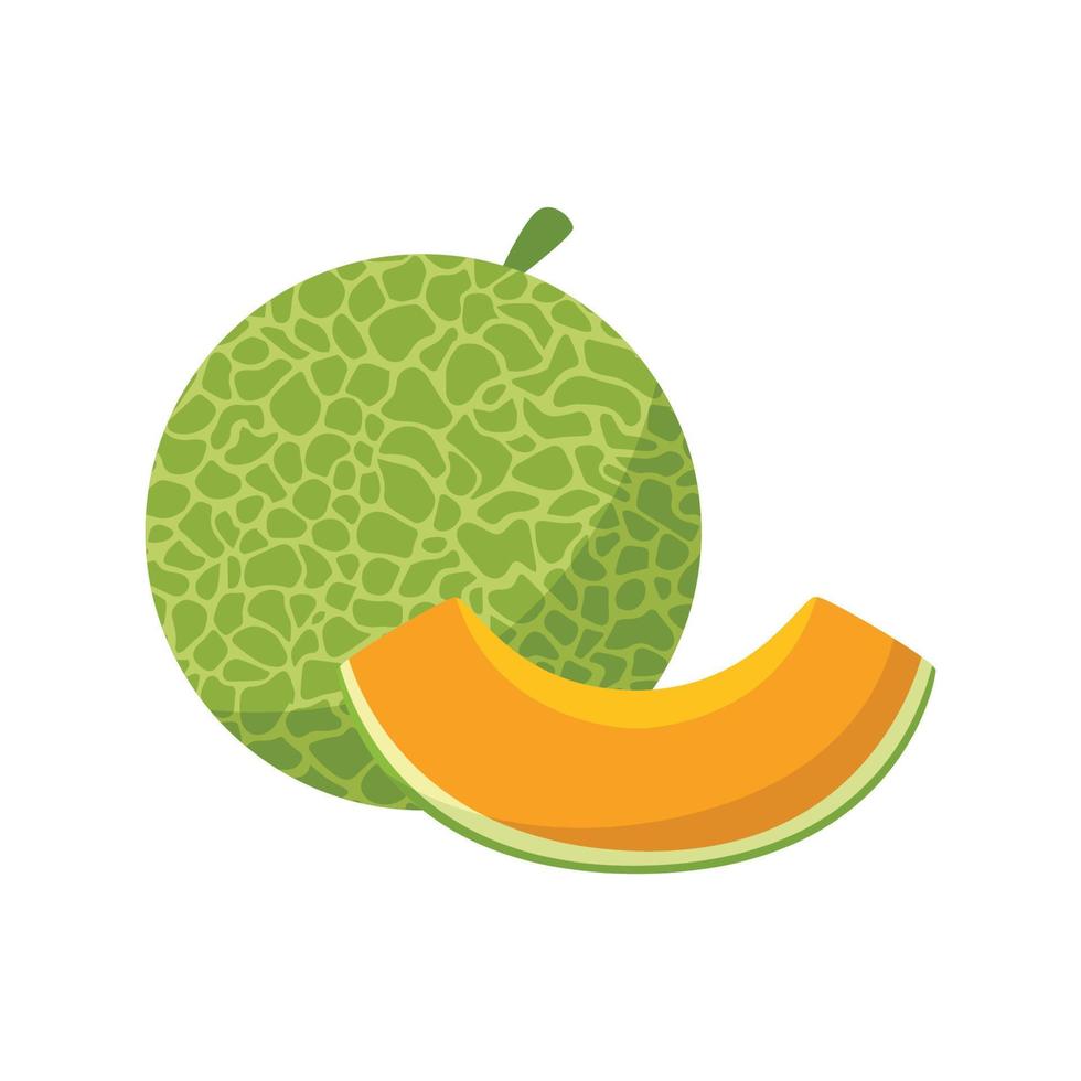 Melon fruit icon. Melon fruit vector