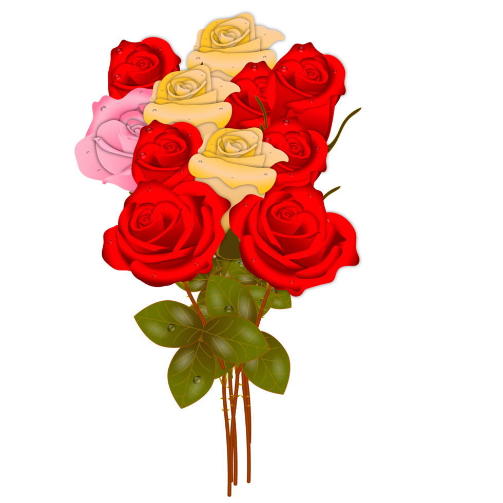 red  rose flowers realistic set with different colors and shapes isolated png