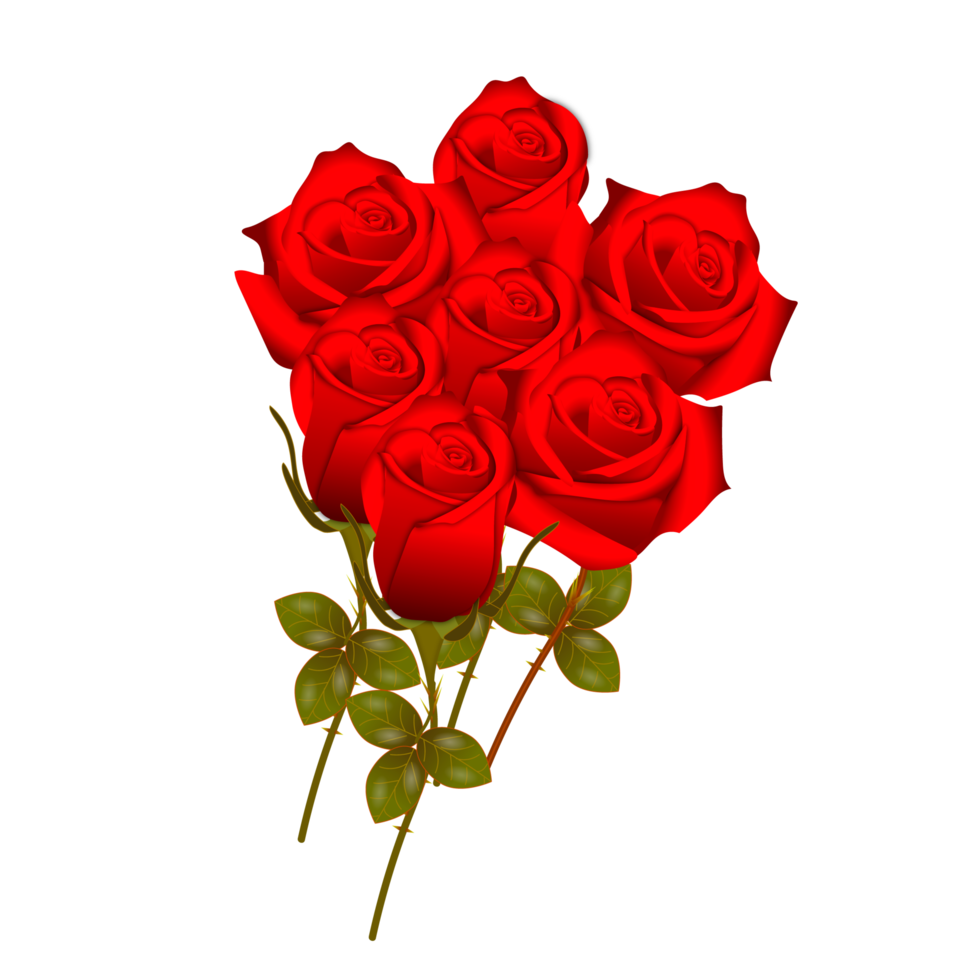 conjunto realista de flores rosas rojas con diferentes colores y formas aisladas png