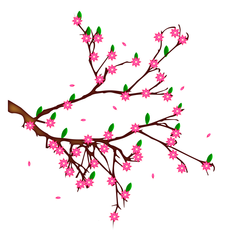 frühlingsblütenhintergrund mit pflaumen- oder kirschblüte png