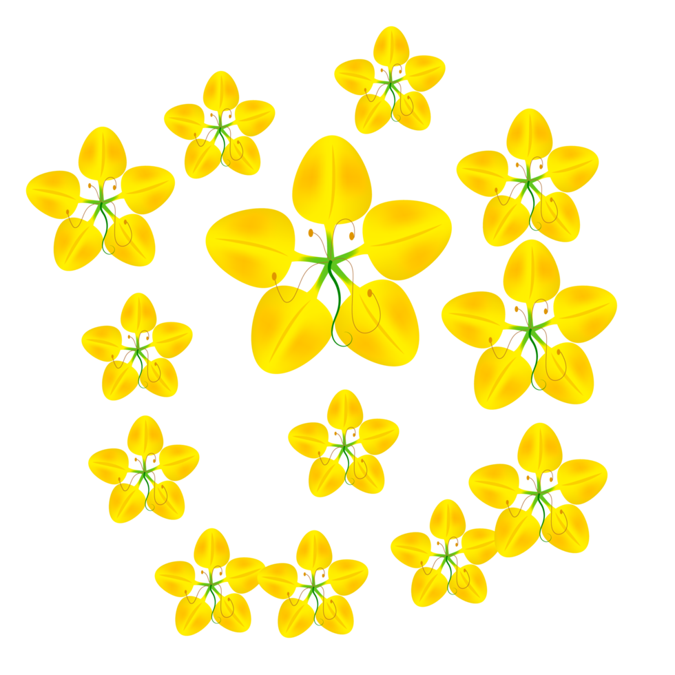 flor cassia fistula, flor nacional da tailândia png