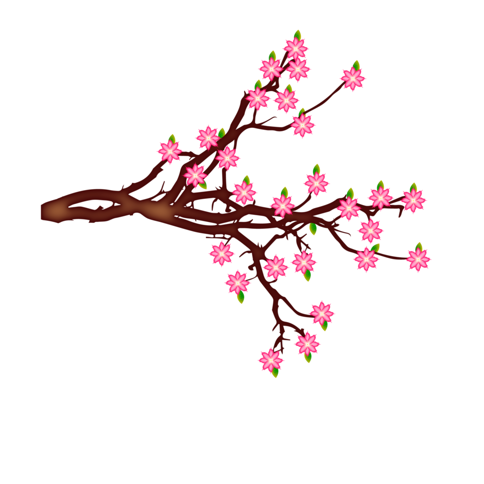 fond de fleur de printemps avec prune ou fleur de cerisier png