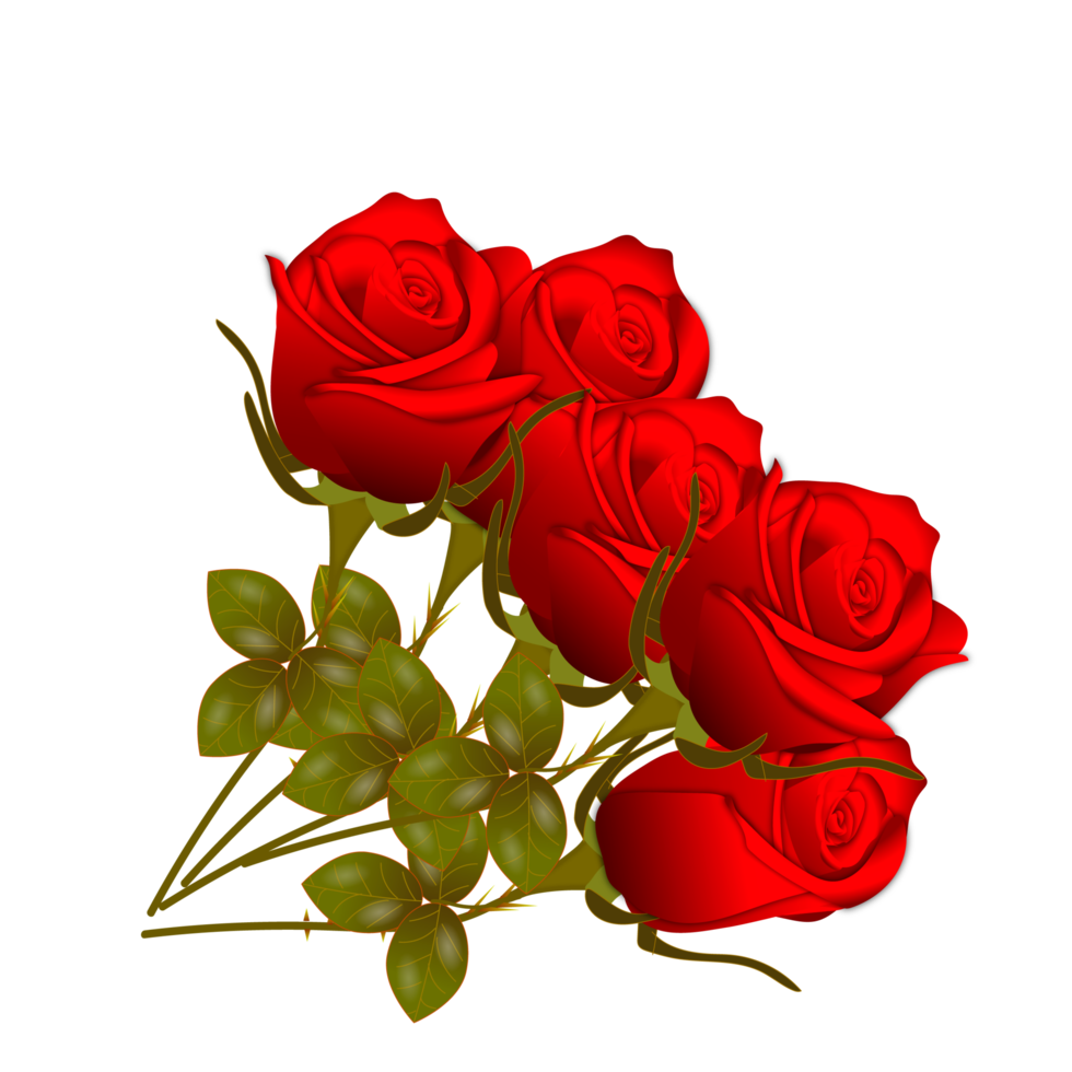 red  rose flowers realistic set with different colors and shapes isolated png