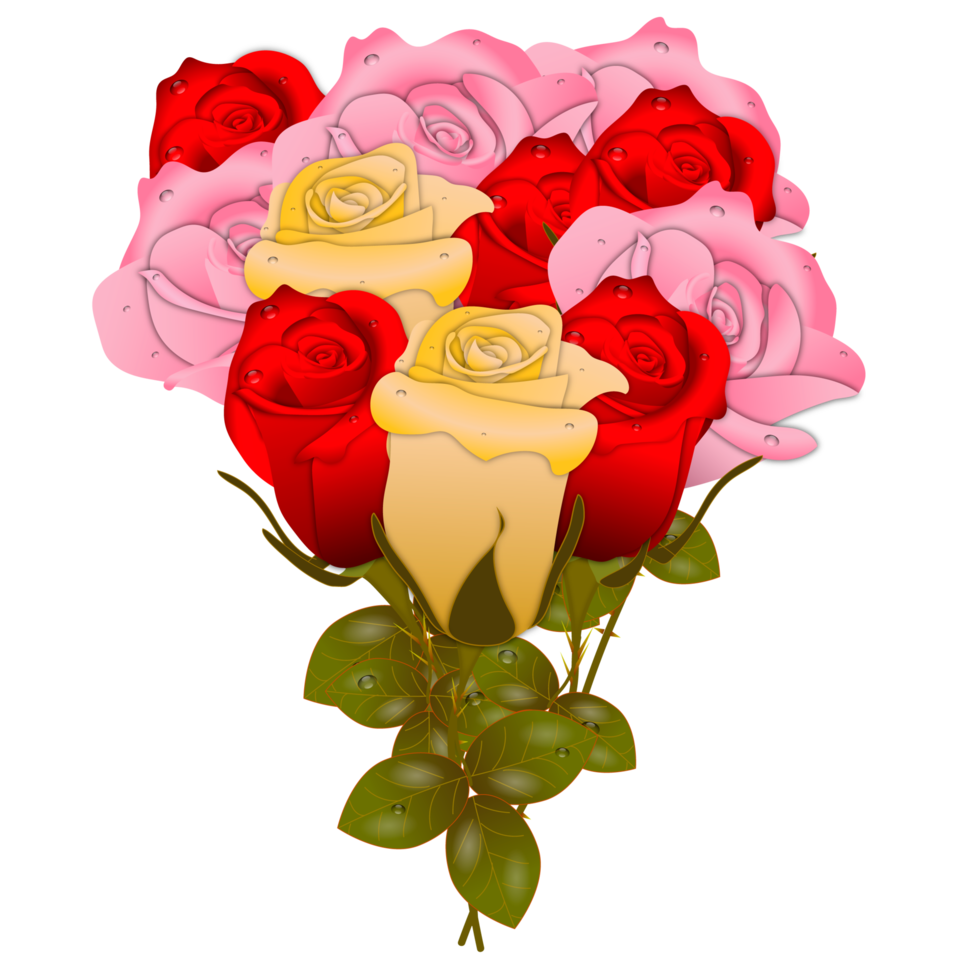 conjunto realista de flores rosas rojas con diferentes colores y formas aisladas png