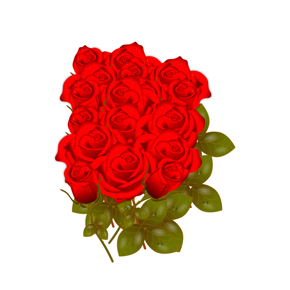 conjunto realista de flores rosas rojas con diferentes colores y formas