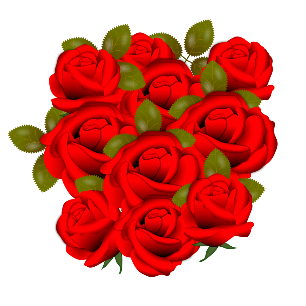 realistischer satz der rosenblumen mit verschiedenen farben und formen lokalisiert png