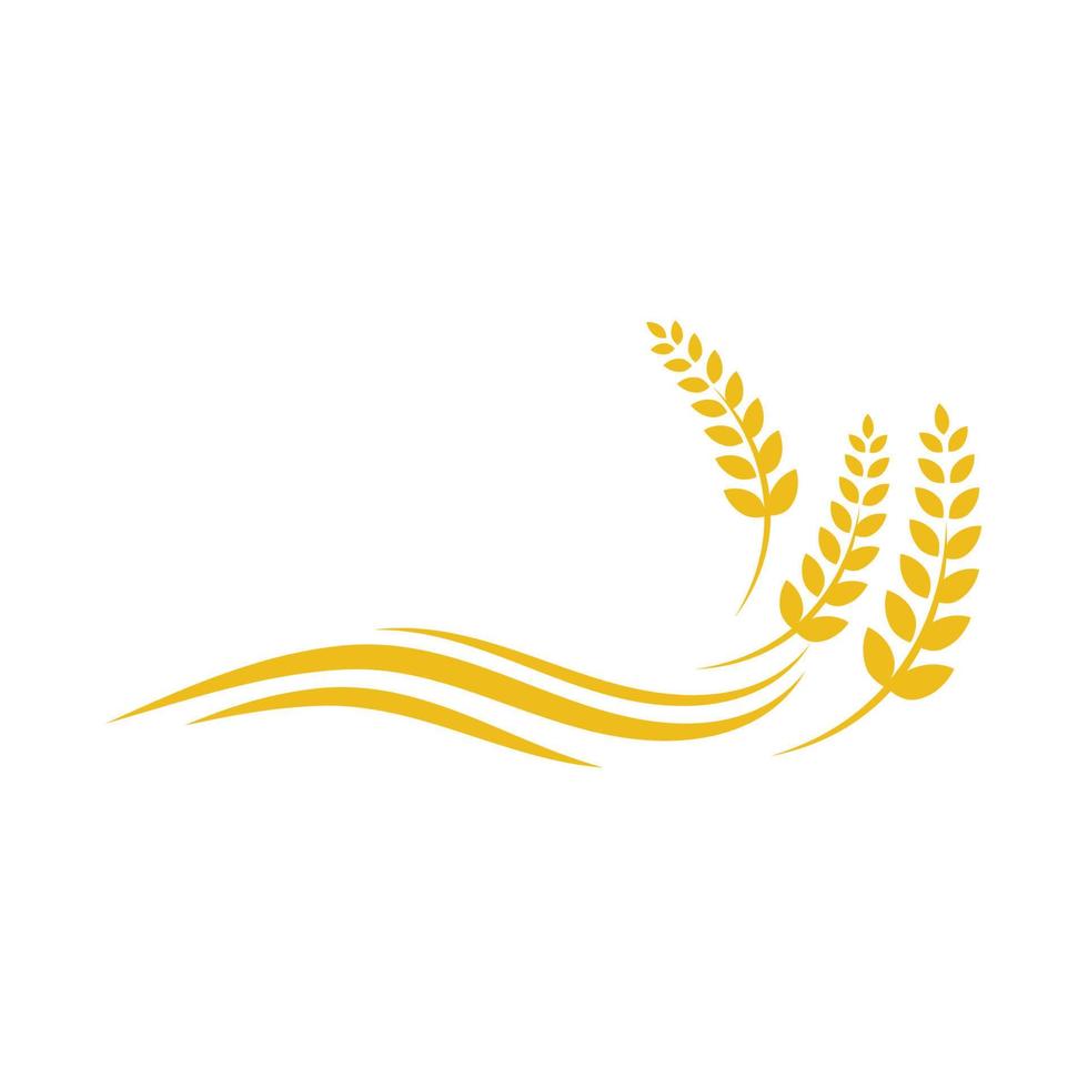Agriculture wheat vector